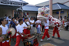 Dragon chinois